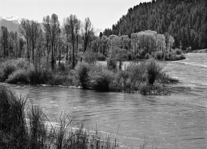 Snake River, Swan Valley, Idaho (2011)