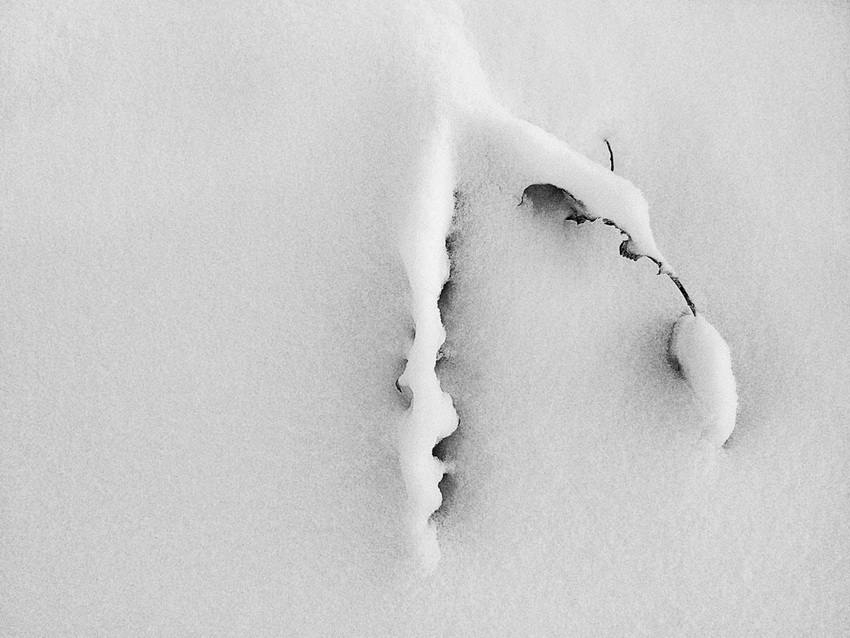 Piccole Dolomiti, Neve (2012)