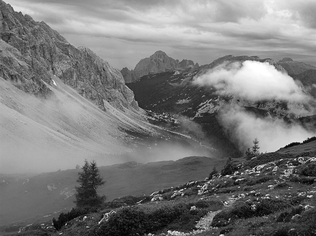 Monte Civetta, Pian di Pelsa (2013)