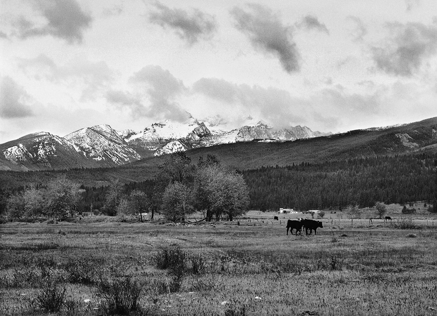 Bitterroot Valley, Montana (2011)