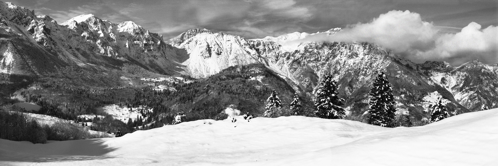 Panoramiche